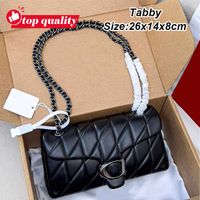 Tabby-26cm-2