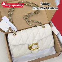 Tabby-26cm-4