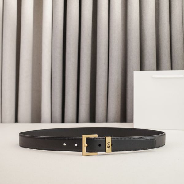 Womens Designer Belt Genuine Leather Belts for Women 2.0/3.0cm Width Leisure Needle Buckle Models Optional Lady Waistband Luxury Waist Girdle 90-115cm Length - Fashion Accessories - huaqiangbeibuy